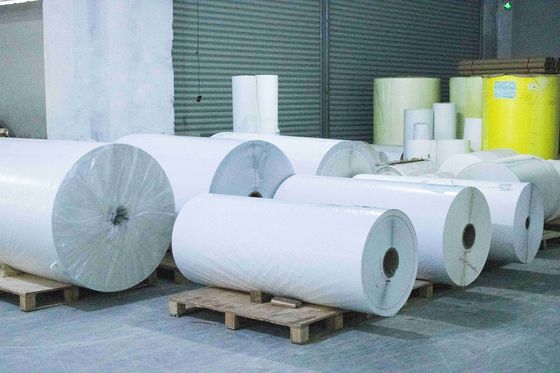 Inkjet Matte Synthetic ฉลาก Material ม้วน 25μ ความหนาของพื้นผิว