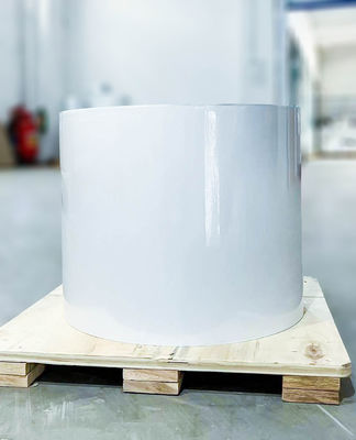 ราคาดี ประเภทของยางคล้องคล้องคล้องคล้อง ออนไลน์