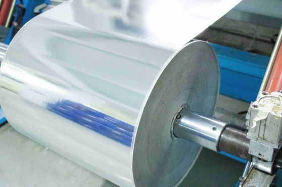 ราคาดี สารสรรพสินค้าเครื่องหมายติดตัวเอง PET เงินแปรง กลมผิว 100u ออนไลน์